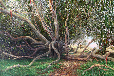 Eucalyptus by the Beach, Giclee Print