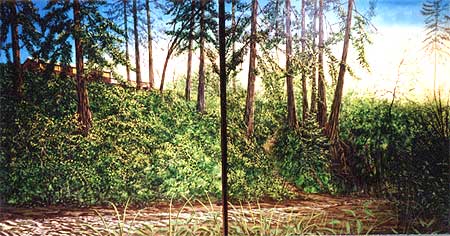 Redwood Village: Original Acrylic Landscape Paintings Of Aptos On The California Central Coast by Landscape Artist Greg Fetler